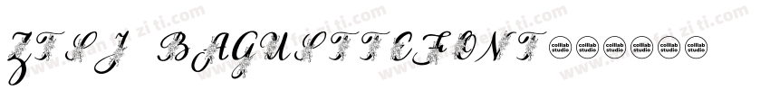 ztsj bagusttefont字体转换